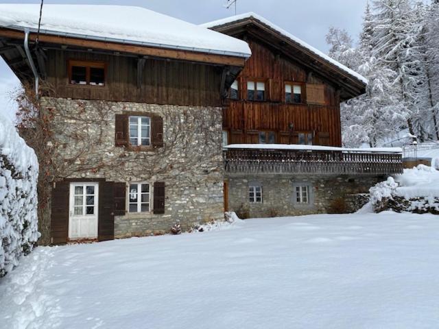 The Nest Villa Les Gets Exterior photo